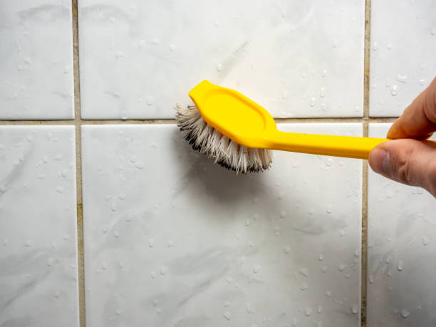 Best Home Mold Removal  in Apex, NC