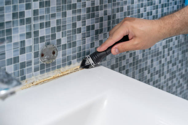 Certified Mold Removal in Apex, NC